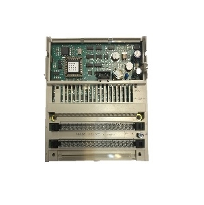 DISTRIBUTED ANALOG INPUT