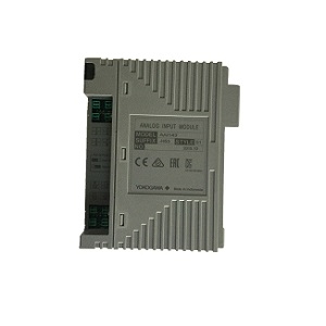 ANALOG INPUT MODULE